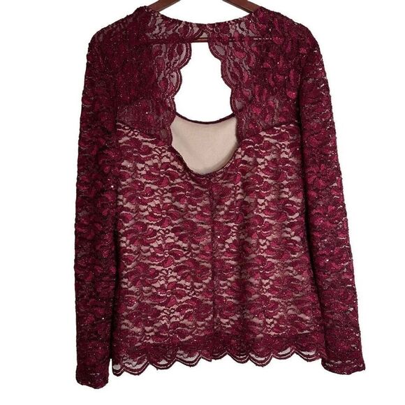 Boston Proper Sparkle Lace Longsleeve Top Womens XL Square Neckline & Keyhole - Picture 2 of 10